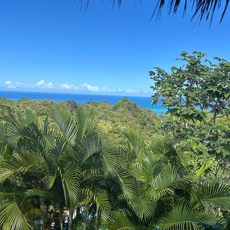 El Limon Casa Alganaヴィラ エクステリア 写真