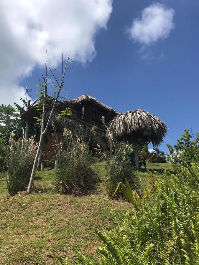 El Limon Casa Alganaヴィラ エクステリア 写真
