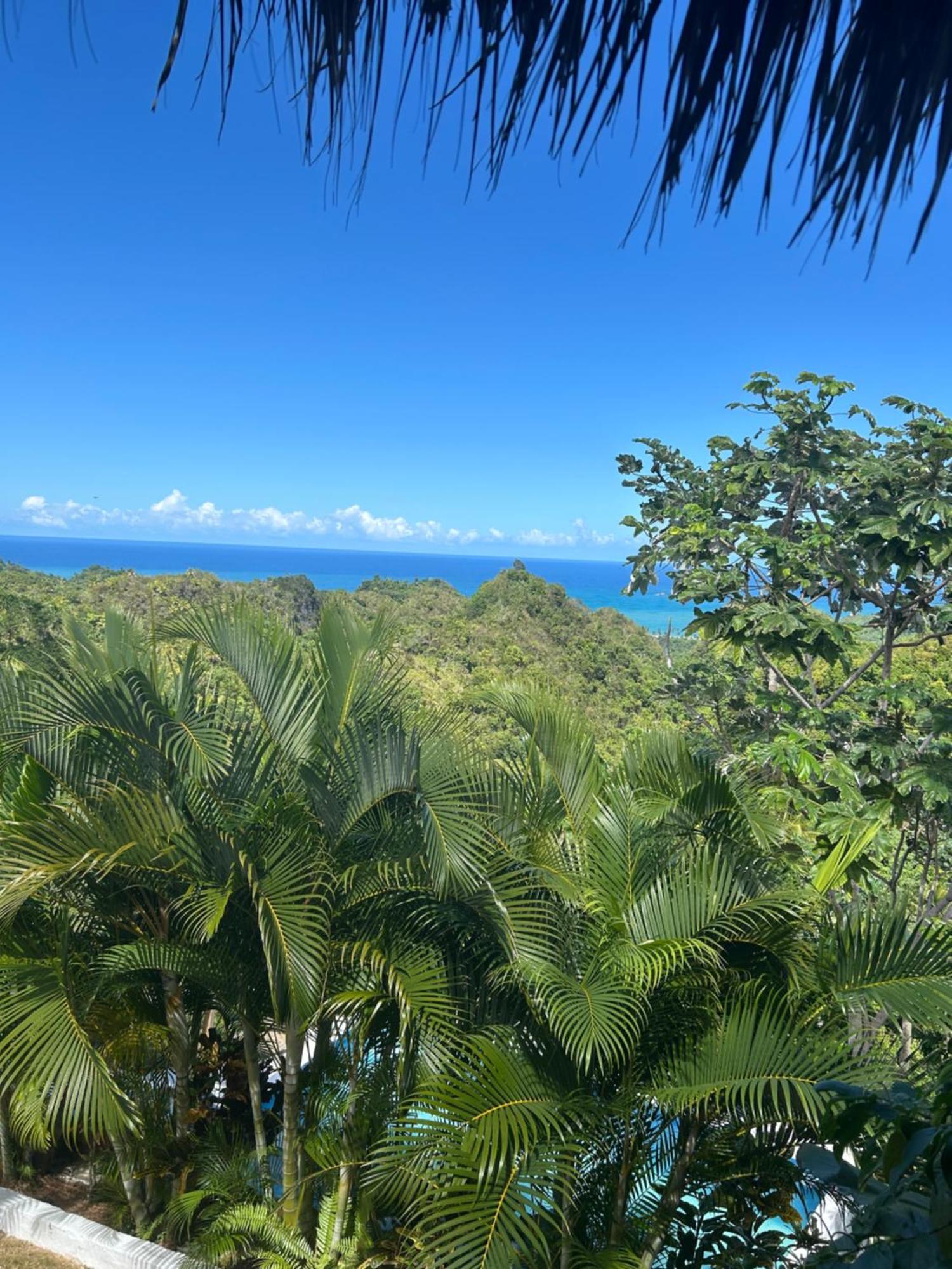 El Limon Casa Alganaヴィラ エクステリア 写真